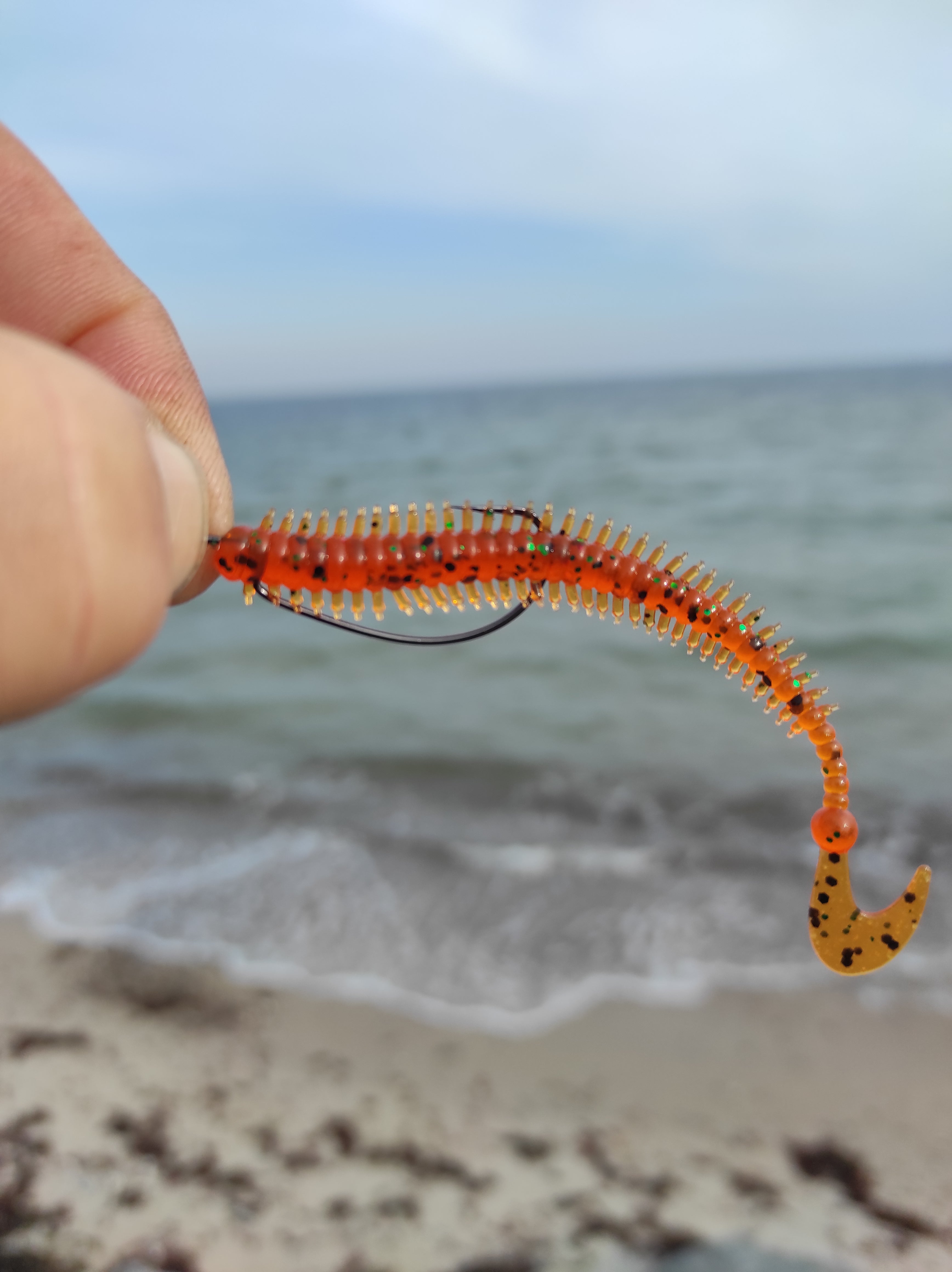 tock! Tailer Seeringelwurm