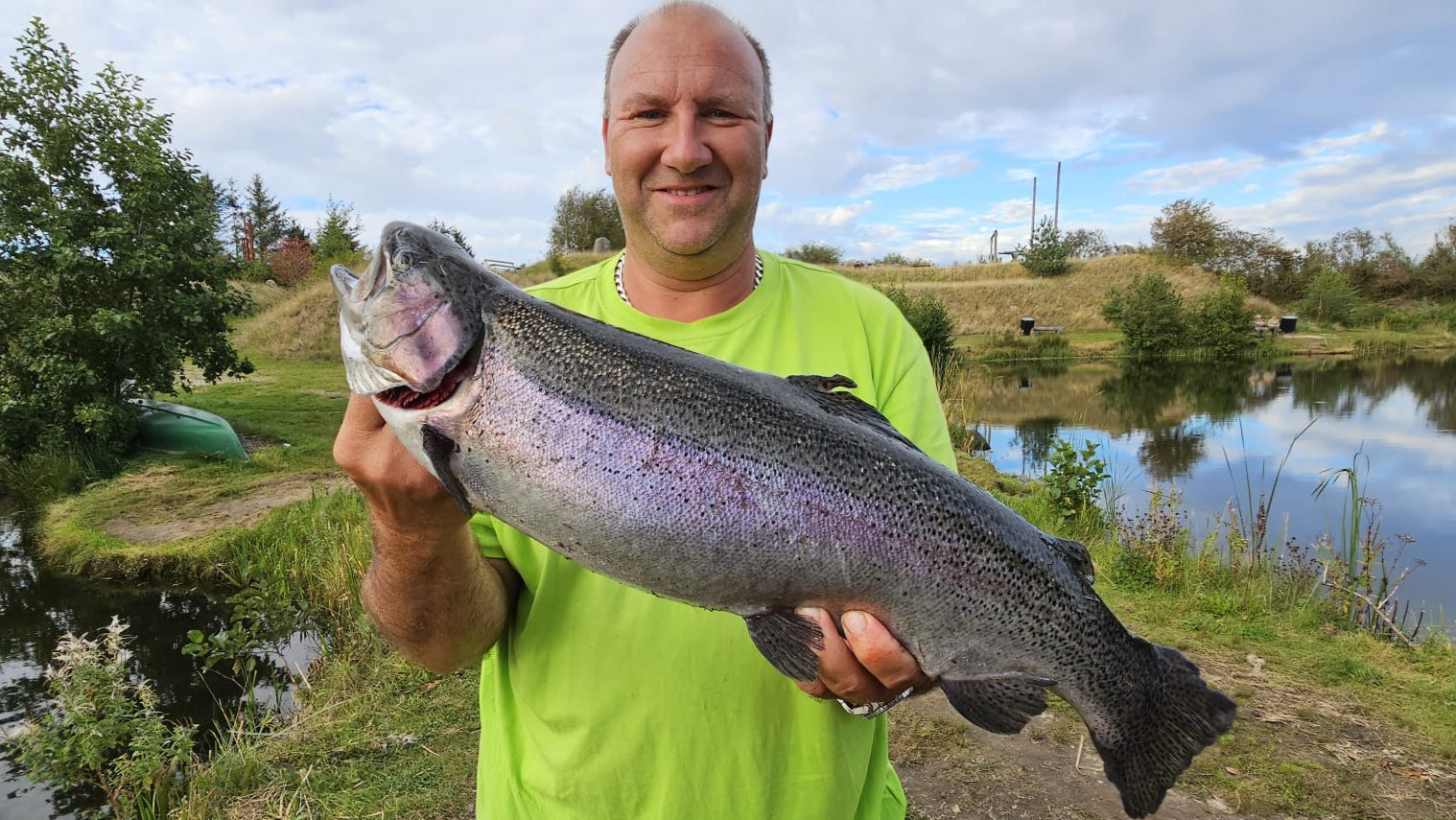 regenbgenforelle, tock, forellensee