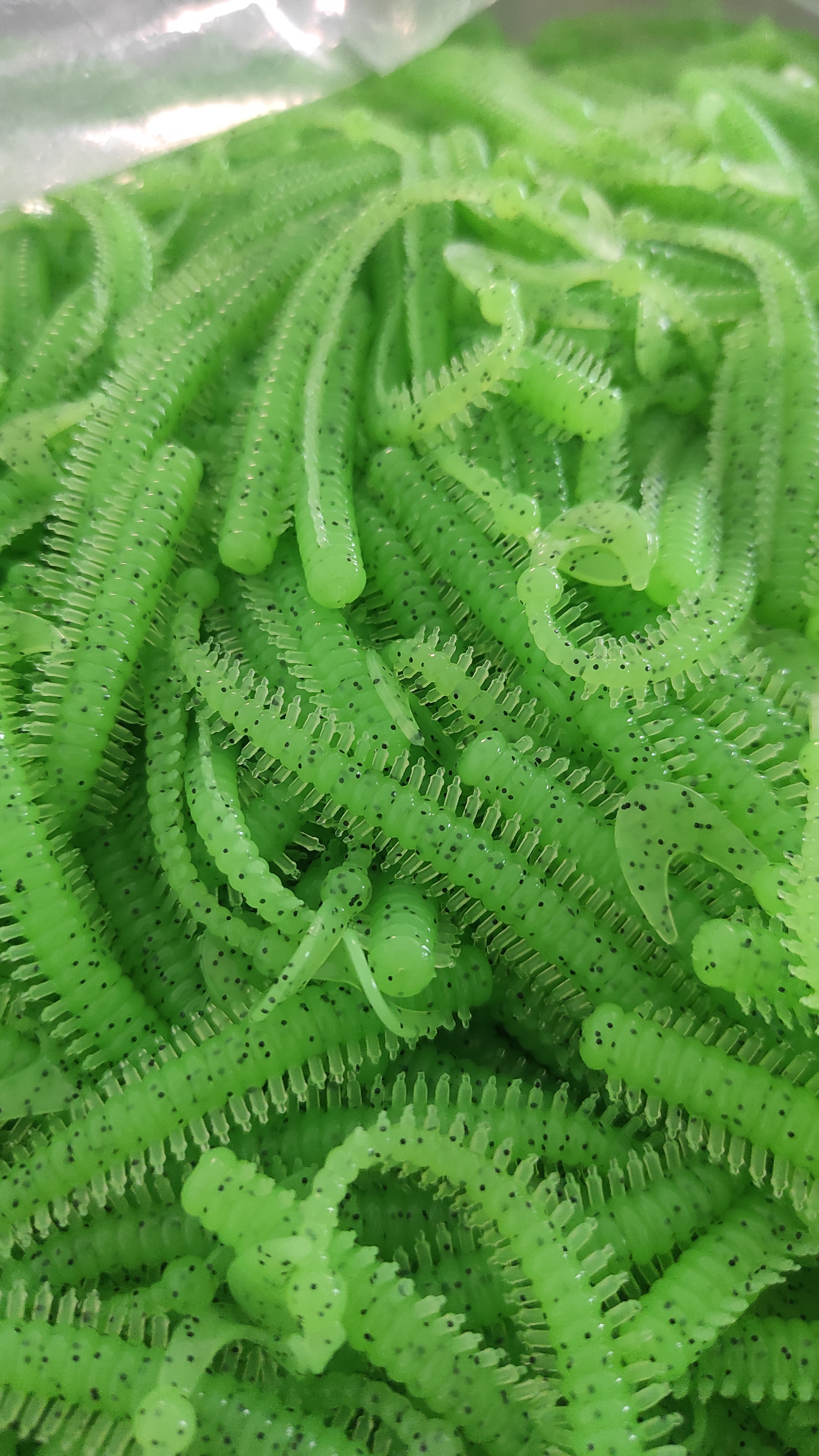 tock! Tailer Gummiwurm "Wild Kiwi"